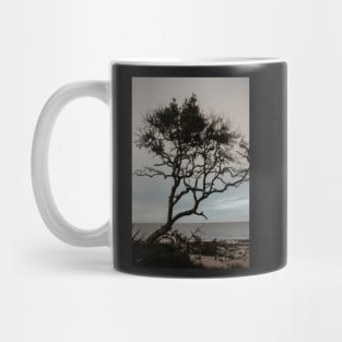 Driftwood Beach Tree Mug